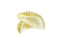 Durian shell, Thorns of durian Royalty Free Stock Photo