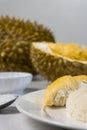 Durian sticky rice with sugar and coconut milk against blurry durian fruits background. selective focus