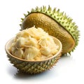 Durian Sukang Royalty Free Stock Photo