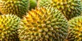 Durian Texture A Close-Up of the Spiky, Yellow-Green Fruit