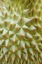 Durian texture. Royalty Free Stock Photo