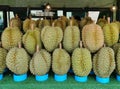 Durian, Thai fruit or name king of fruit.