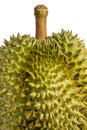 Durian Thai Fruit