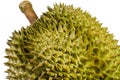 Durian Thai Fruit