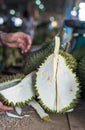 Durian Thai fruit, woman holding durian in fruit market Thailand