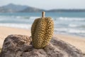 Durian Thai fruits on the beach