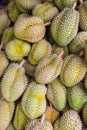 Durian , Thai King fruit Royalty Free Stock Photo