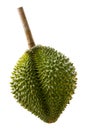 Durian , Thai King fruit Royalty Free Stock Photo