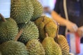 Durian in thailand fruit market, Muang Mai Royalty Free Stock Photo