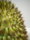 Durian, thorny fruit Is a fruit of Asia Golden yellow color of the fruit is sweet, soft and has a pungent aroma. White background