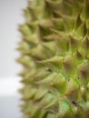 Durian, thorny fruit Is a fruit of Asia Golden yellow color of the fruit is sweet, soft and has a pungent aroma. White background