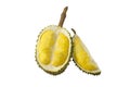 Durian, Thorny golden fresh smelly southeast fruit with sharp thorn, yellow and sweet, on isolated white background.