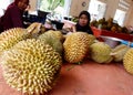 Durian Royalty Free Stock Photo