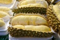 Durian in tray Royalty Free Stock Photo