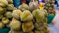 Durian tropical fruit Royalty Free Stock Photo