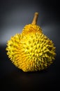 Durian tropical fruit on black background Royalty Free Stock Photo