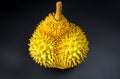 Durian tropical fruit on black background Royalty Free Stock Photo