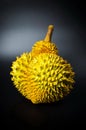 Durian tropical fruit on black background Royalty Free Stock Photo