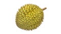 Durian Tropical fruit