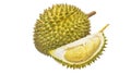 Durian Tropical fruit