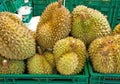 Durian tropical fruit in thai local market