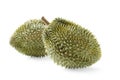 Durian tropical fruit on white backgrond Royalty Free Stock Photo