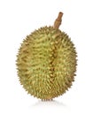 Durian tropical fruit on white background Royalty Free Stock Photo
