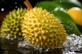 Durian in water, water splashes from durian falling into water, water splashes and drops.