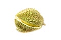 Durian on white background, king of fruit