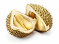 Durians cleavage in the white background