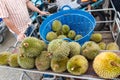 Durians Royalty Free Stock Photo
