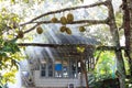 Durians Garden With Cottage Royalty Free Stock Photo