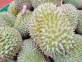Durians on sale in Singapore
