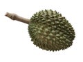 Durio, or Durian, is a hard, yellowish-green crust with spikes, soft and delicious yellow interior. King of fruit.