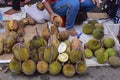 Durio zibethinus Durian in the market