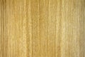 Durmast wood texture Royalty Free Stock Photo