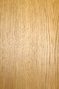 Durmast wood texture Royalty Free Stock Photo
