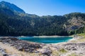 Paradise views of the national park Durmitor in Montenegro. Turquoise water of the lake, pine forest and mountains. Stunning backg Royalty Free Stock Photo