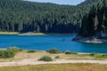 Paradise views of the national park Durmitor in Montenegro. Turquoise water of the lake, pine forest and mountains. Stunning backg Royalty Free Stock Photo