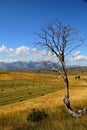 Durmitor Ring