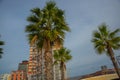 DURRES, ALBANIA: Palm trees and Skyscraper on the street in Durres.