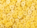 Durum wheat semolina pasta stelle close up Royalty Free Stock Photo