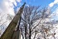 Disconnected power line and a tree with leaves shed for Fall against a blue clouded sky Royalty Free Stock Photo