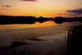 The dusk with algae in the water just after sunset