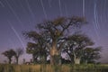 Dusk at Baines Baobabs