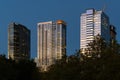 Dusk in Bellevue Washington as darkness falls on tower blocks Royalty Free Stock Photo