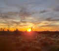 Dusk at Days end in the sonoran preserve Royalty Free Stock Photo