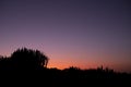 Dusk evening time in the cenic landscape desert place with cactus in silhouette - concept of arid nature outdoor and beautiful sky Royalty Free Stock Photo