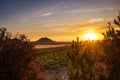 Dusk falling over the vineyards at the Ribera del Duero in Valladolid Royalty Free Stock Photo