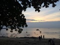 Dusk on the island with silhoutte tree